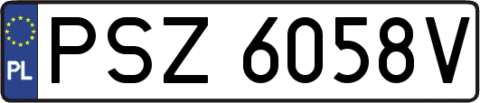 PSZ6058V