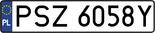 PSZ6058Y