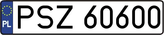 PSZ60600