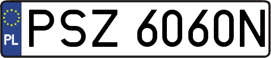 PSZ6060N