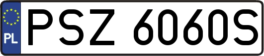 PSZ6060S
