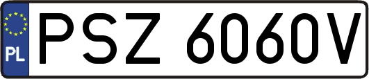 PSZ6060V