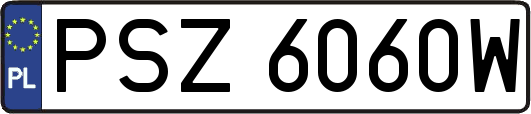 PSZ6060W