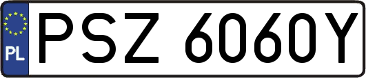 PSZ6060Y