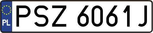 PSZ6061J