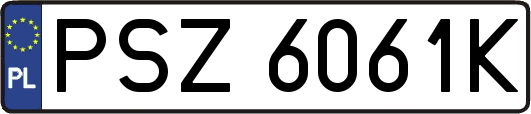 PSZ6061K
