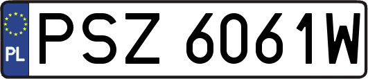 PSZ6061W