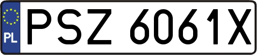 PSZ6061X