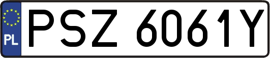 PSZ6061Y