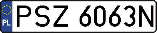 PSZ6063N