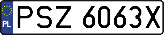 PSZ6063X