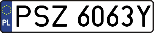 PSZ6063Y