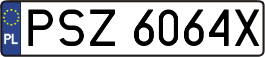 PSZ6064X