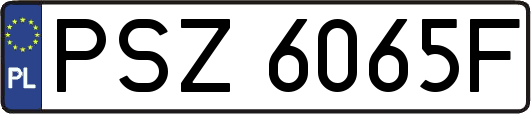 PSZ6065F