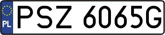 PSZ6065G