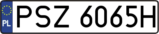 PSZ6065H