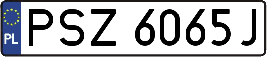 PSZ6065J