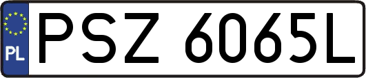 PSZ6065L