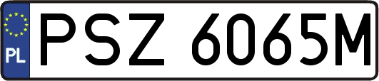 PSZ6065M