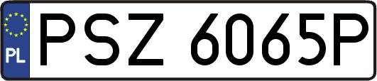 PSZ6065P