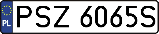 PSZ6065S