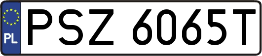 PSZ6065T