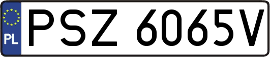 PSZ6065V