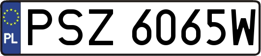 PSZ6065W