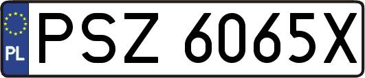 PSZ6065X