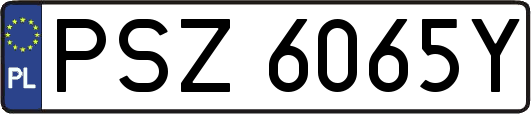PSZ6065Y