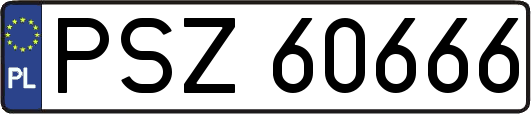 PSZ60666