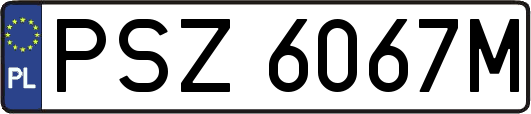 PSZ6067M