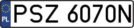 PSZ6070N