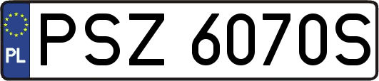 PSZ6070S