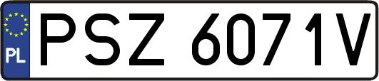 PSZ6071V