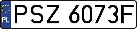 PSZ6073F