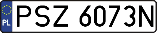 PSZ6073N