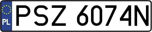 PSZ6074N