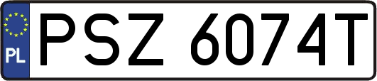 PSZ6074T