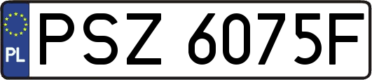 PSZ6075F