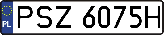 PSZ6075H