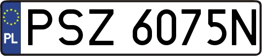 PSZ6075N