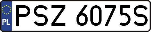 PSZ6075S