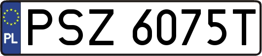 PSZ6075T