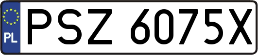 PSZ6075X