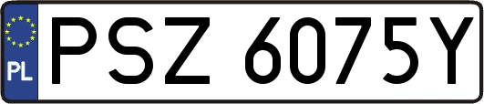 PSZ6075Y