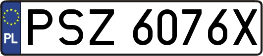 PSZ6076X