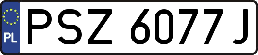 PSZ6077J