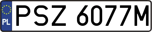 PSZ6077M