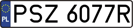 PSZ6077R